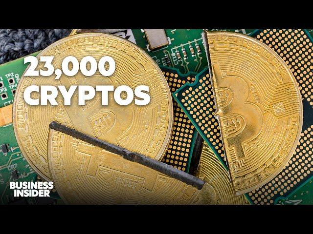 From Bitcoin To Alt Coins And Meme Coins, What Crypto Are Worth The Hype And What's Not