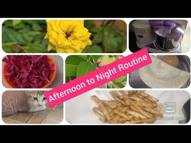 Afternoon to Night Routine vlog | in Tamil new | Make in Homestyle