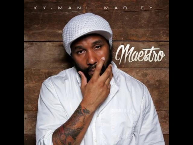 Ky Mani Marley Feat  Matisyahu & Gentleman   We Are