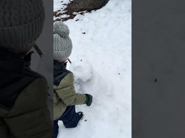 Snowman destroyed by sibling rivalry! #snowman #siblingrivalry