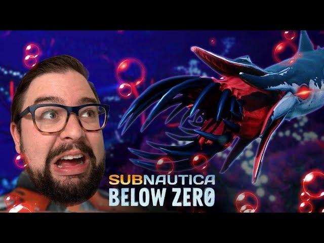 I Found The SQUID SHARK, and I Regret EVERYTHING | Subnautica: Below Zero