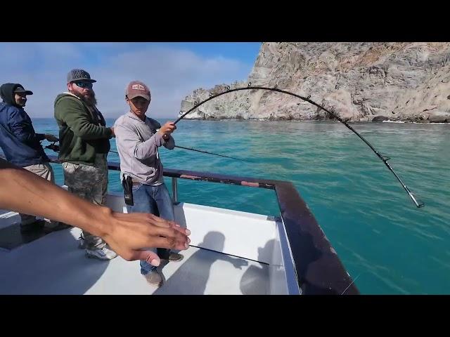 Pursuit Sportfishing October 2024