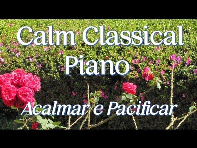 Calm Classical Piano | Calm and Pacify