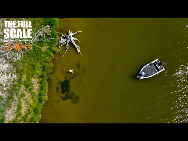 Fishing for MASSIVE Fish In Shallow Water | The Full Scale