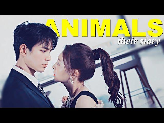 Ready for Love | Tang Jingxing  Mi Chuxia || Animals [1x30] MV 结婚吗？好的！