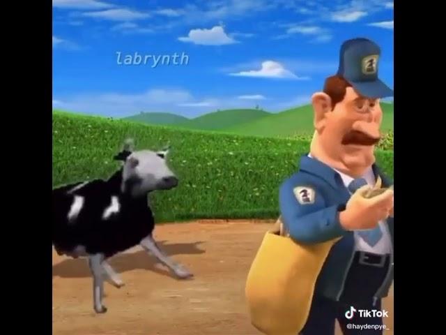 Barn Yard BUT its Polish Dancing Cow