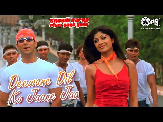 Deewane Dil Ko Jaane Jaa | Shaadi Karke Phas Gaya Yaar | Salman, Shilpa Shetty | Sonu Nigam, Alka Y