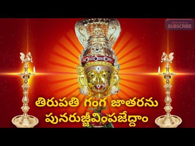 Tirupathi Gangamma Jatharanu Punarujjivimpajeddam || Sri Tataiahgunta Gangamma Jathara || Tirupathi