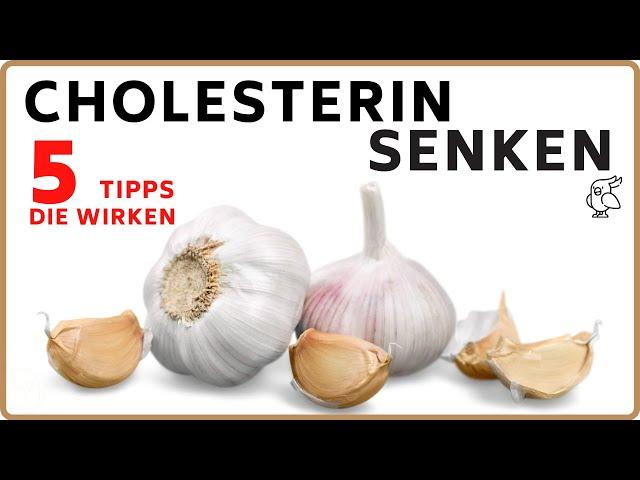 CHOLESTERIN NATÜRLICH SENKEN MIT 5 EINFACHEN TIPPS Cholesterinsenkende Lebensmittel, die wirken!