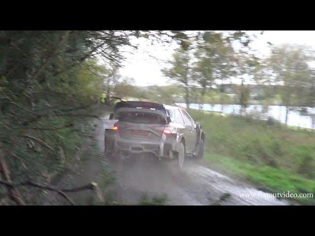 WRC Wales Rally GB 2019 - FLAT OUT