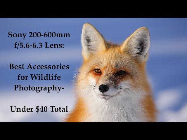 Sony 200-600mm f/5.6-6.3 Lens: Two Best Accessories - Better and Less Expensive Recommendations