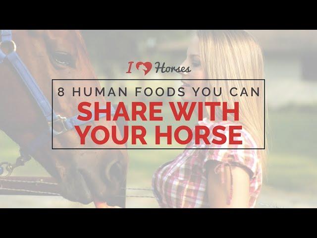 8 Human Foods You Can Share With Your Horse