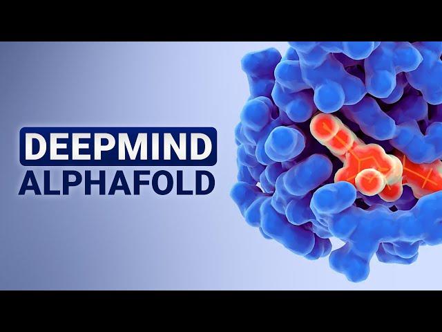 DeepMind AlphaFold: The Nobel Prize Winner!  