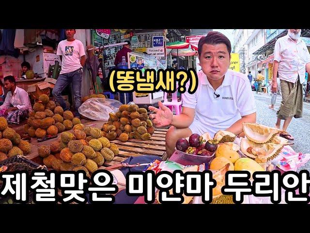 이렇게 맛있는데? 두리안이 넘쳐나는 미얀마 시장에서 제철 두리안 먹기 | Myanmar Durian Market | မြန်မာဒူးရင်းသီးMukbang