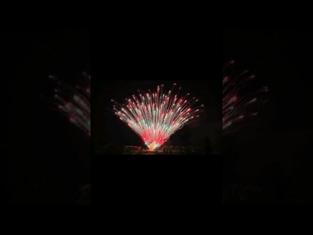 专业燃放盆花 #fireworks #vipfireworks