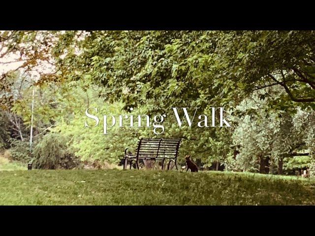 倫敦留學Vlog1-Spring Walk in Russia Dock Woodland & Stave Hill Ecological Park