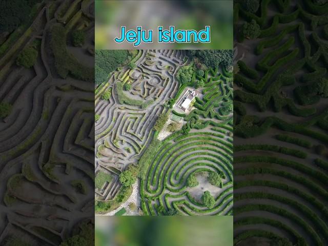 Mazeland Jeju #korea #travel #beautiful #sceneryl #shorts #shortvideo