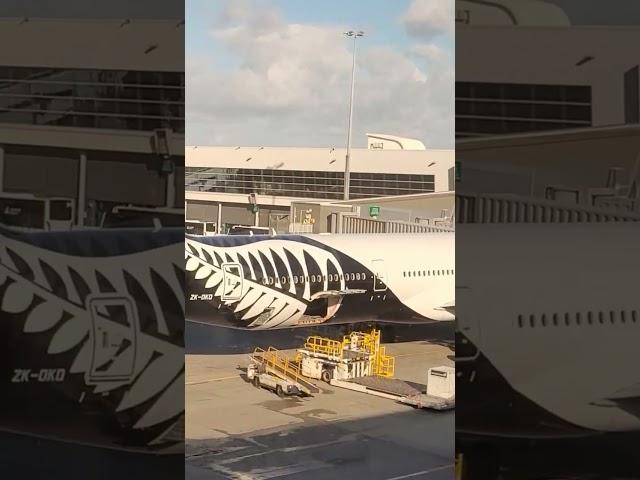 #airnewzealand #boeing777 loading cargo at the #tarmac #kuyabogpilotzn #airplane #auckland #airport