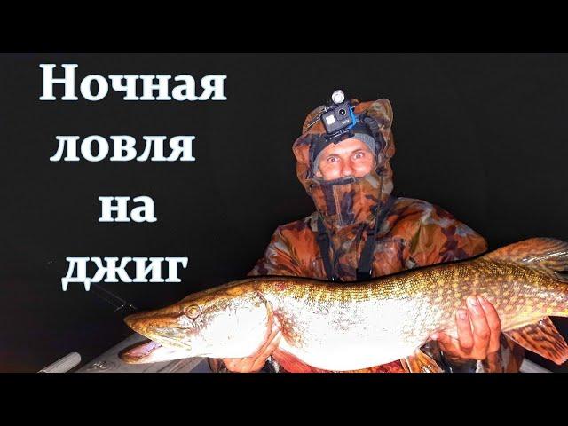НОЧНАЯ РЫБАЛКА/ЛОВЛЯ СУДАКА И ЩУКИ НА ДЖИГ/НОЧНОЙ СУДАК/р.ВОЛГА