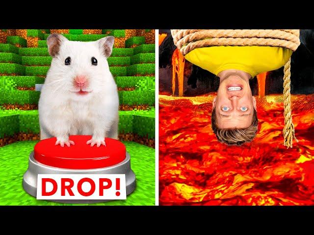 Hamster Maze vs Human Traps  World’s Most Extreme Elimination Game! Last To Survive Minecraft Wins