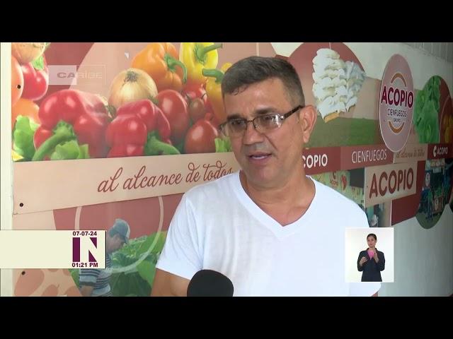 Cuba: Aumentan exportaciones de carbón vegetal en Cienfuegos