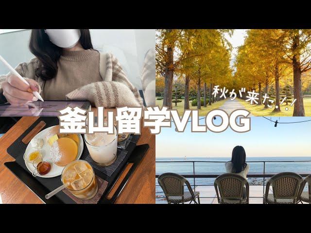 JP/KR【韓国留学VLOG】秋の釜山とおすすめカフェ️l 가을 부산