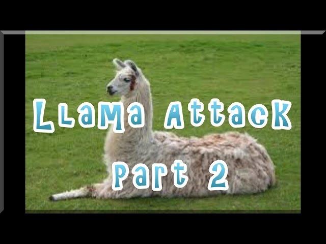 Llama Attack Part 2