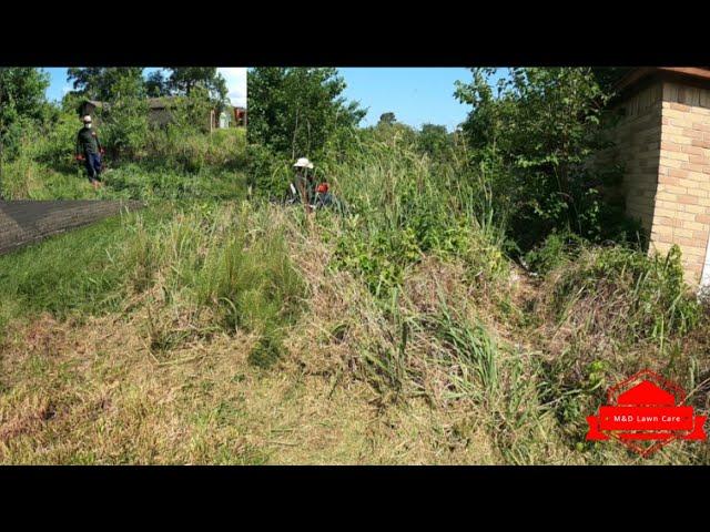 Cutting A Nightmare of a Yard That Hasn’t Been Cut In Over a DECADE (worst yard in history)