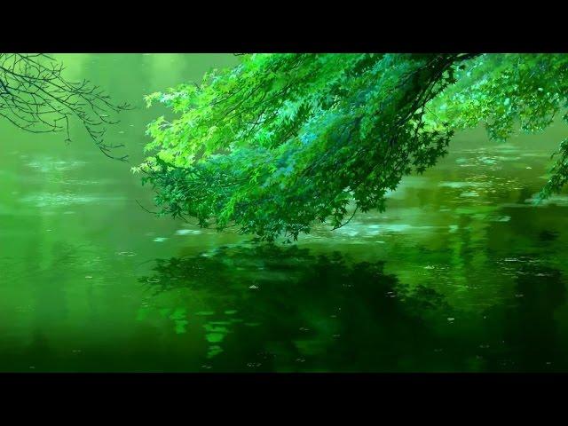 Beautiful Anime - Nature [AMV]