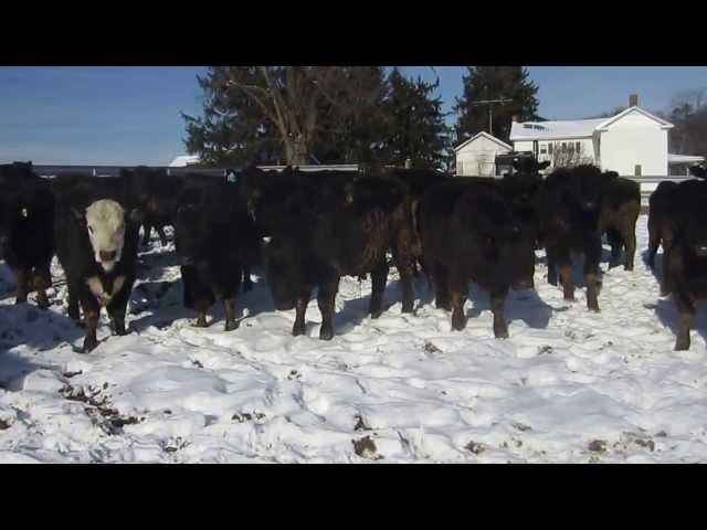 HJ Omps & Sons 2-12-14 Lot 3