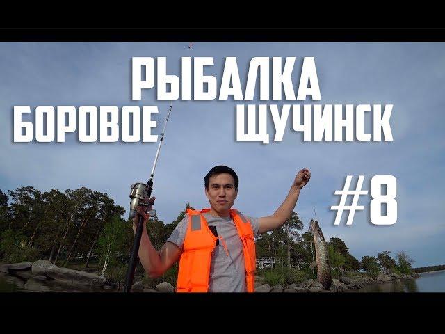 РЫБАЛКА В БОРОВОМ / МОЙ ПЕРВЫЙ ОПЫТ