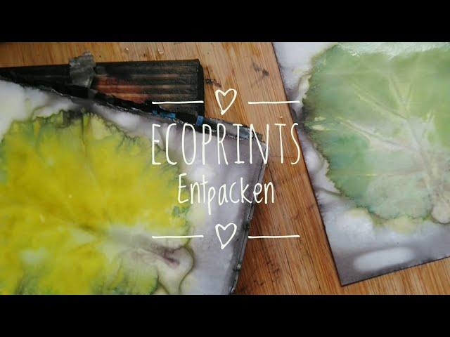 Ecoprints Entpacken | Zwischen Staunen und Euphorie | Suses Art