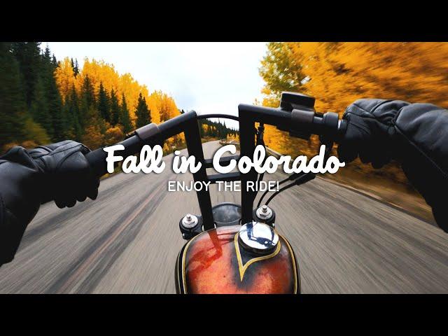 Relaxing Motorcycle Ride in the Colorado Mountains | Harley Sportster Chopper RAW Engine Sound Only