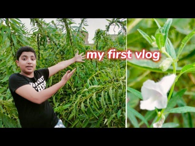 til  ka khat or tube well # firstvlog