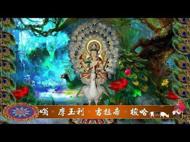 真佛宗金剛歌 「孔雀明王心咒」Mahamayuri Mantra