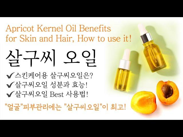 얼굴 피부관리에 최고! 살구씨오일의 효능, 성분, 사용법 (아로마테라피 강의-29) 'Apricot kernel oil' uses and benefits