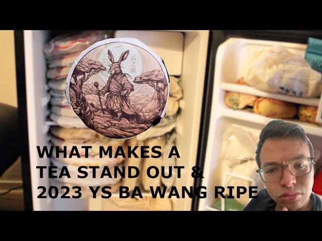 What Makes A Tea Stand Out & 2023 Yunnan Sourcing Bawang Ripe Pu'erh [Inbetweenisode 361]