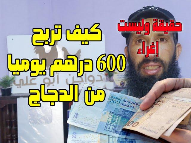 خطة ربح 600 درهم يوميا من تربية الدجاج البلدي بغرض إنتاج البيض لكن إسمع للآخر ...!!!!؟؟