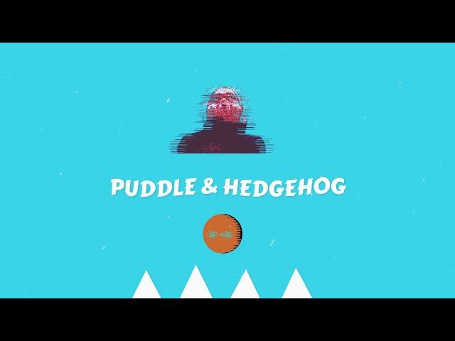 PUDDLE & HEDGEHOG *-* @BandcampOddities