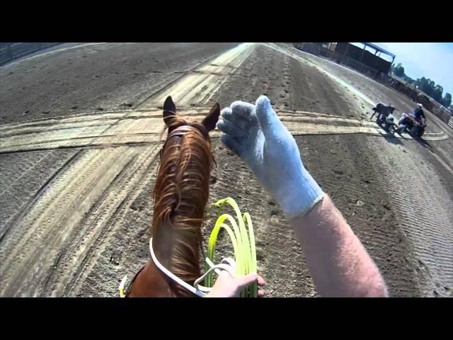 Team Roping Position 3: Handling steers that run Right