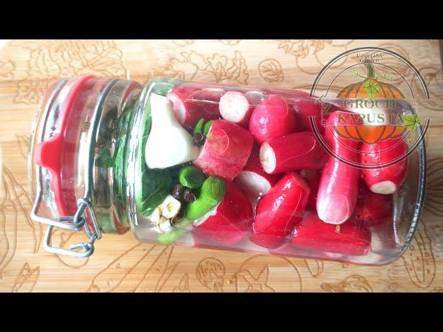 Pickled radishes in jar for the winter recipe What to do with excess radishes with radish Preserves