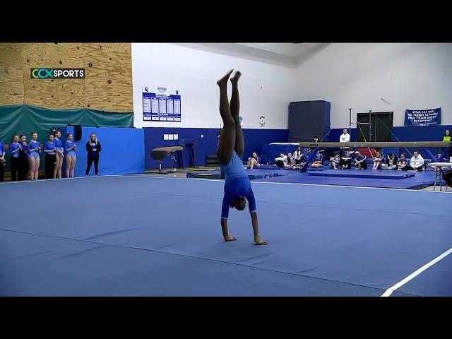 Gymnastics - Wayzata vs. Hopkins High School