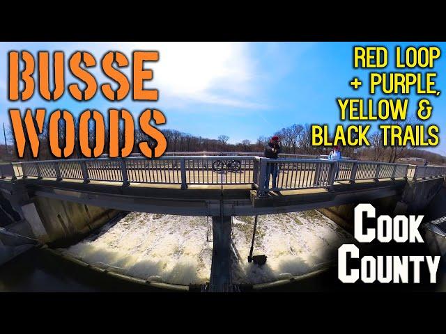 Busse Woods Forest Preserve: All Trails - Round Trip - April 2023