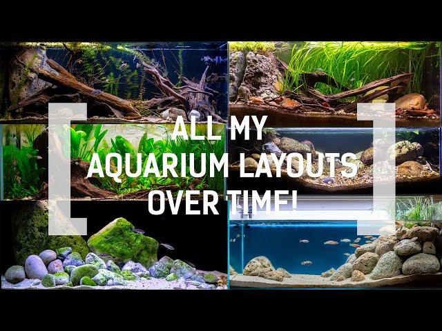 ALL MY AQUARIUM LAYOUTS OVER TIME!