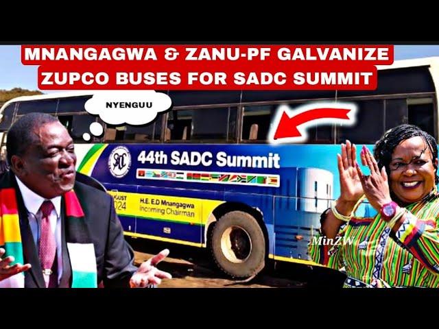 ChakachayaHonai Mnangagwa & Zanu-PF galvanize zupco buses for sadc summit citizens vazviramba