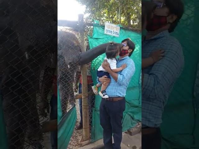 Aadi at Nandankanan zoo with his papa