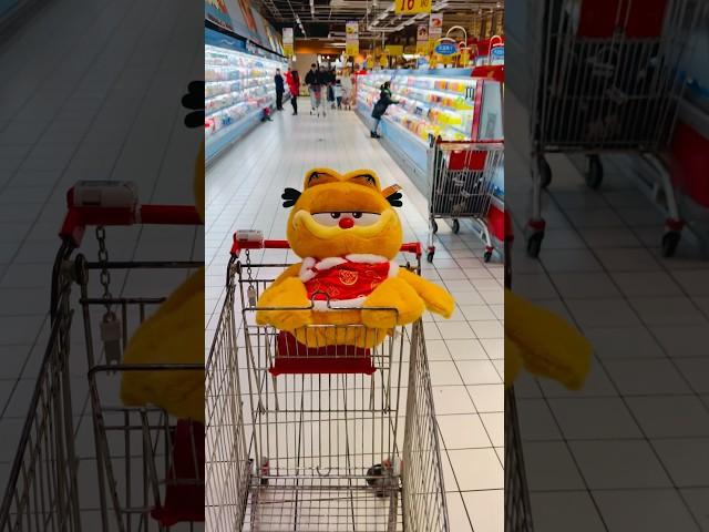 Look who’s CNY shopping at RT-Mart #garfield #rtmart