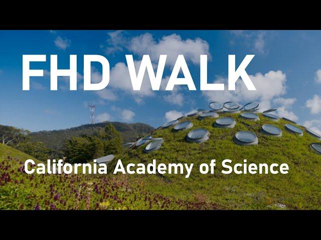 [FHD] Walk and explore California Academy of Science (Golden Gate Park, San Francisco)