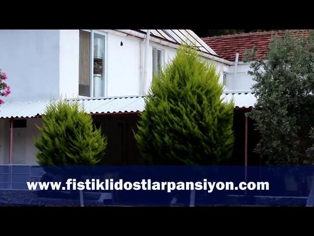 Fıstıklı Dostlar Pansiyon Tanıtım Filmi