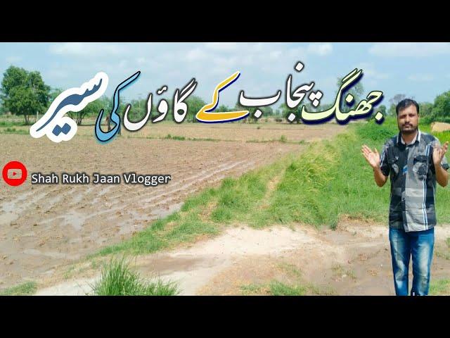 JHANG PUNJAB GAO ki Ser || GAO || JHANG VloG